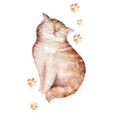Dekodino Wandtattoo Aquarell Katze getigert mit Pfotenabdrücken mehrfarbig