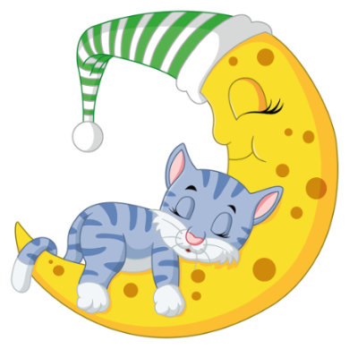 Dekodino Wandtattoo Mond mit Gesicht und Katze schlafend mehrfarbig